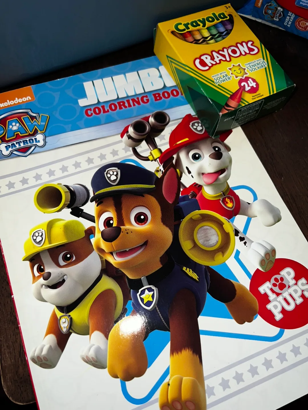 Paw Patrol Gift Basket - Toys, Crayons & Coloring Book image indicator(5)