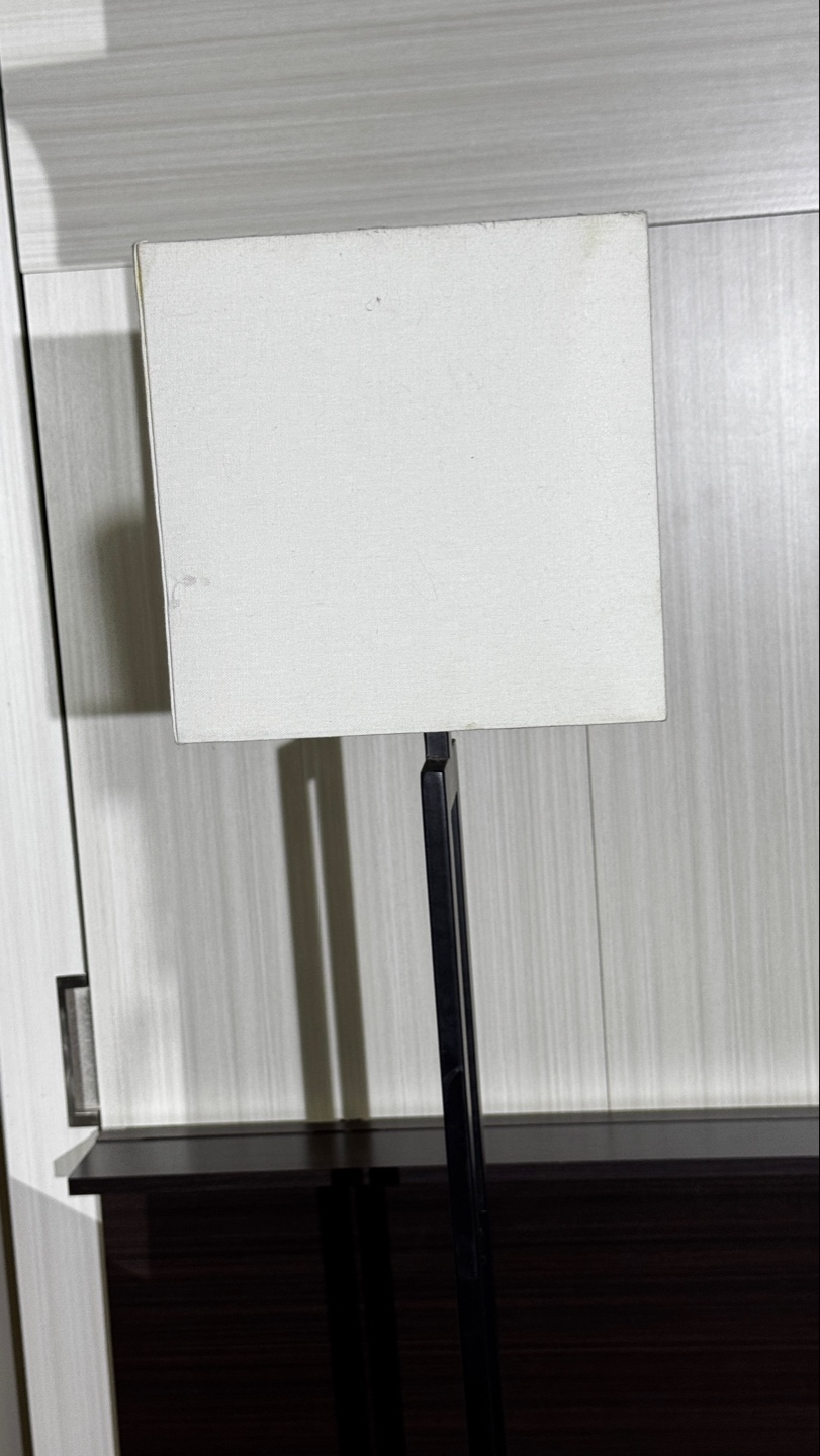 Modern Black Floor Lamp with Rectangular Shade - photo 2