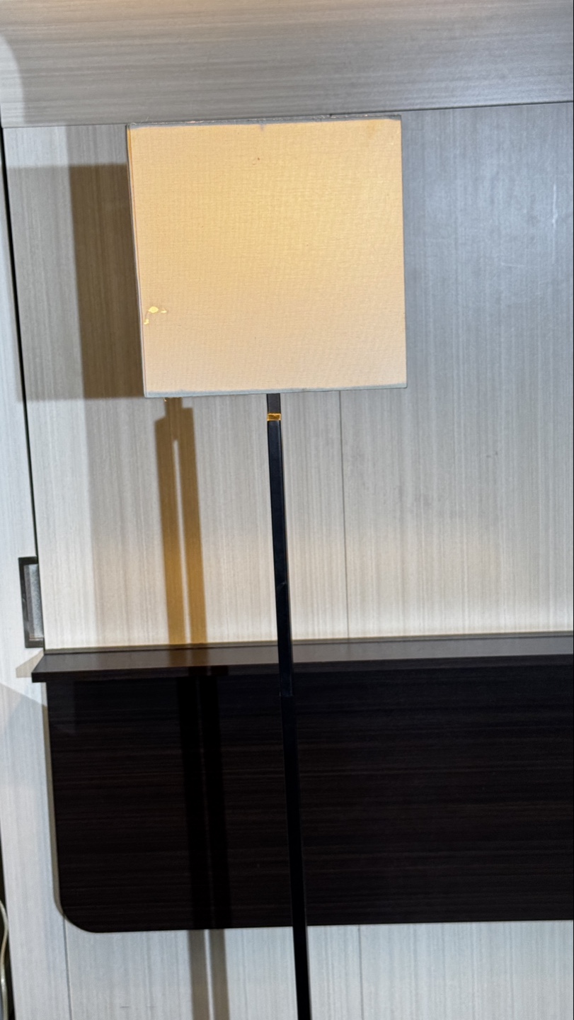 Modern Black Floor Lamp with Rectangular Shade - photo 5