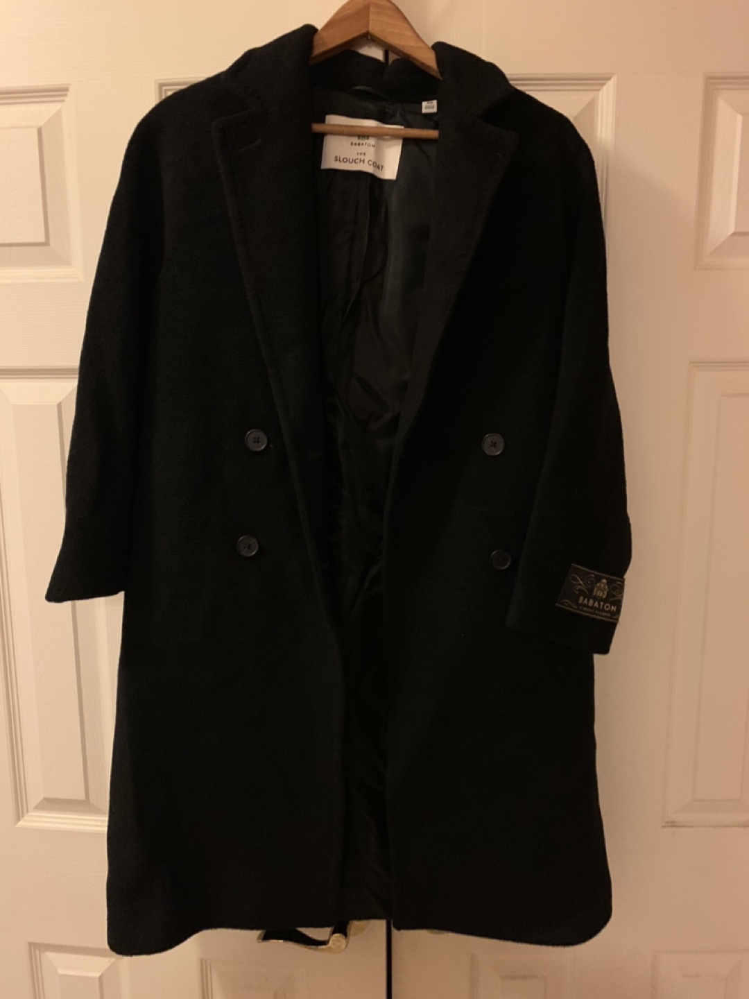 Babaton by Aritzia The Slouch Coat.