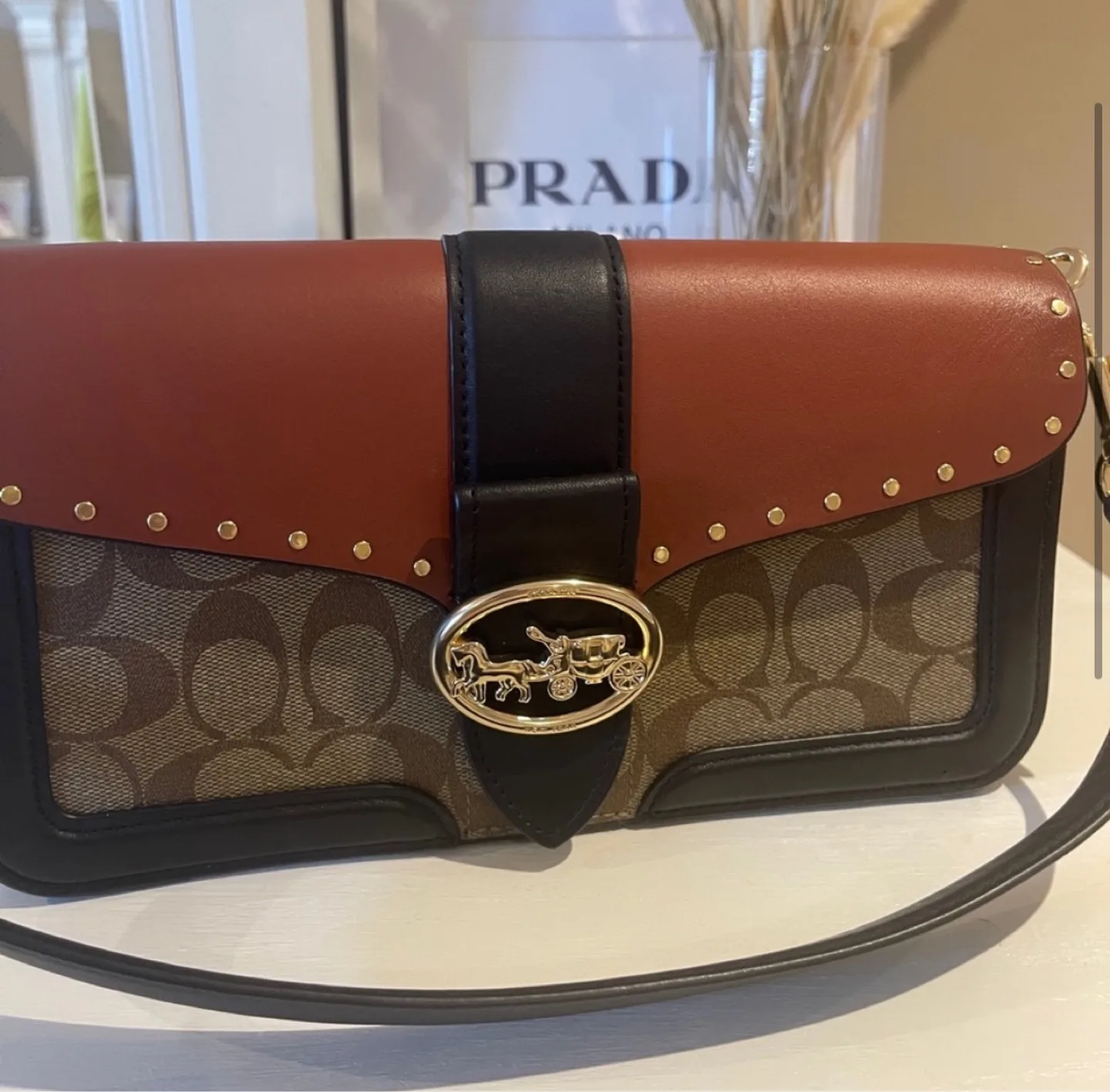 Coach Brown and Black Leather Shoulder Bag image indicator(3)