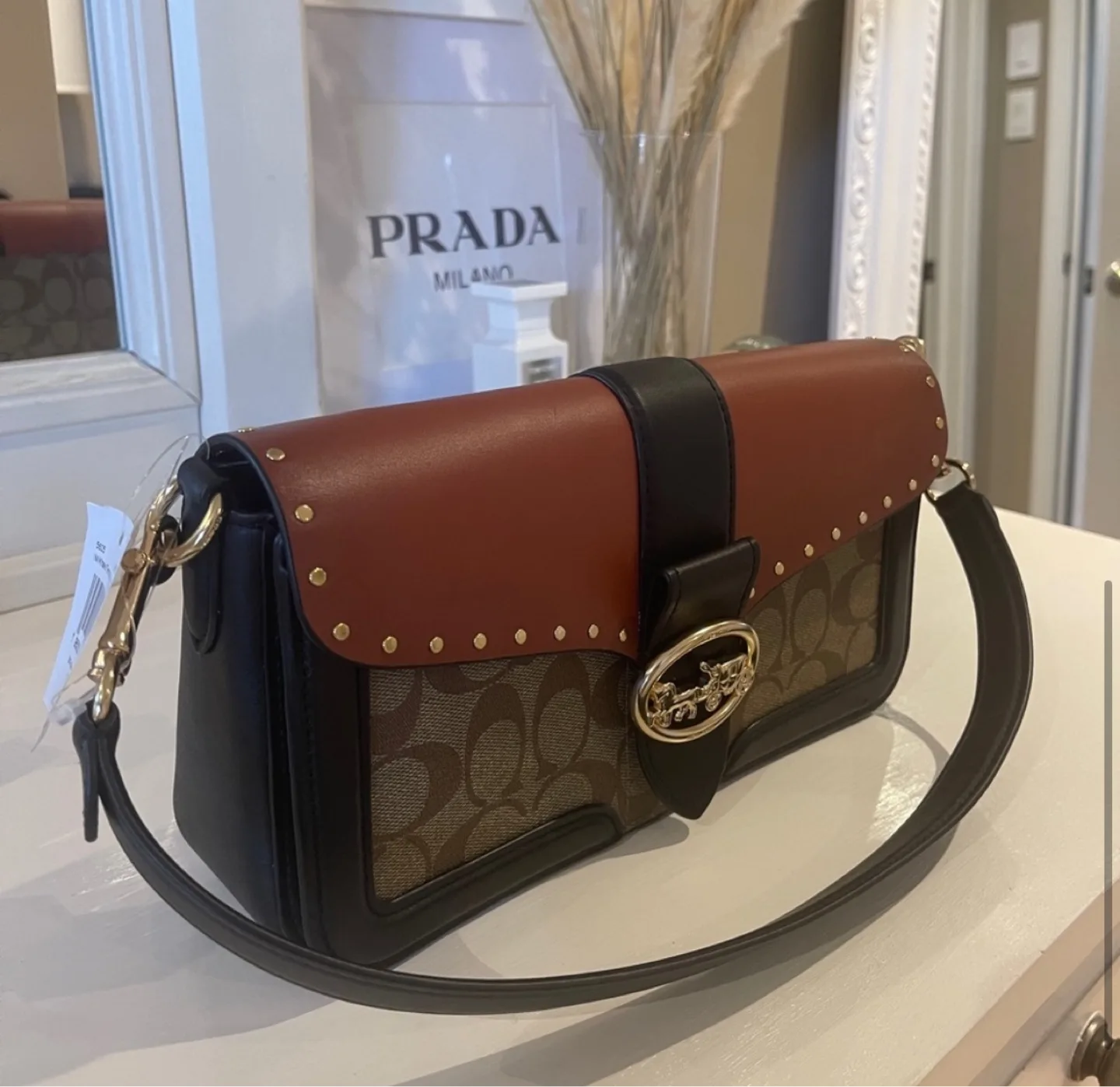 Coach Brown and Black Leather Shoulder Bag image indicator(5)