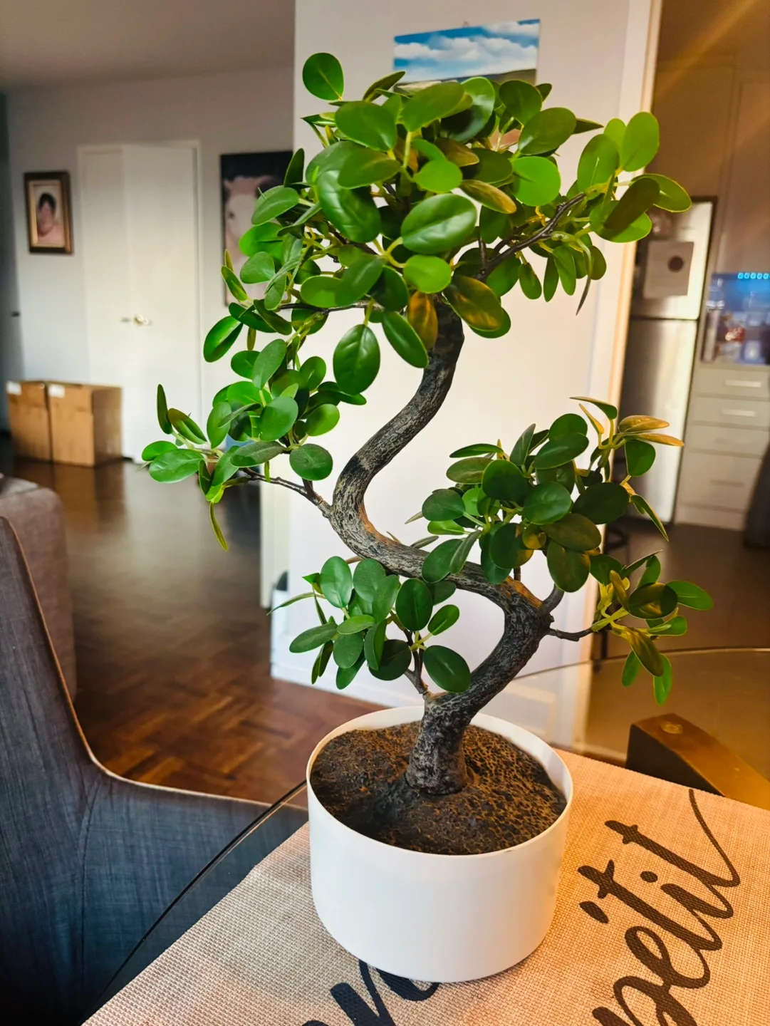 Artificial Bonsai Tree in White Pot thumbnail