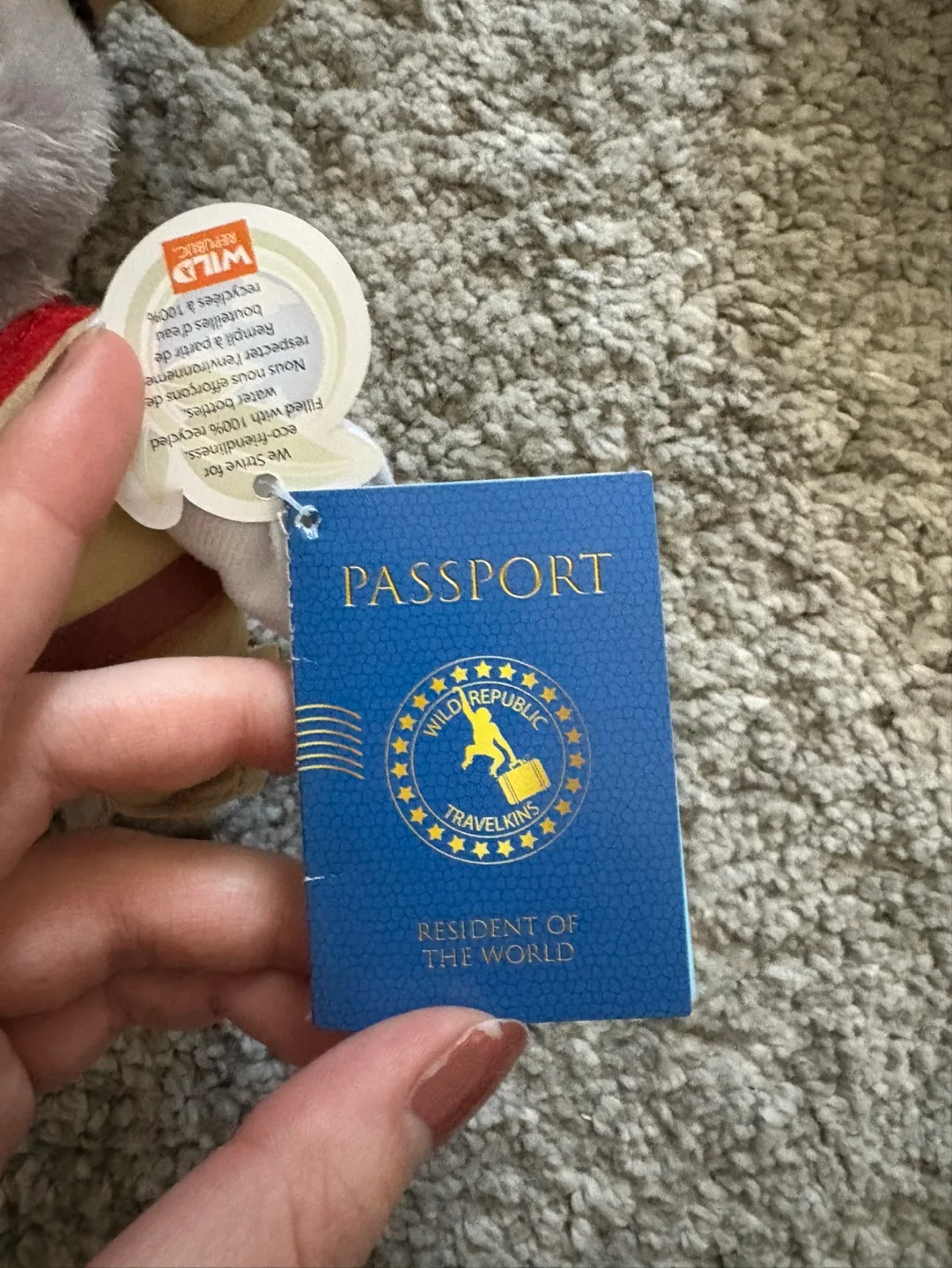 Wild Republic Ryder the Raccoon Travelkin Plush Toy💚 image indicator(2)