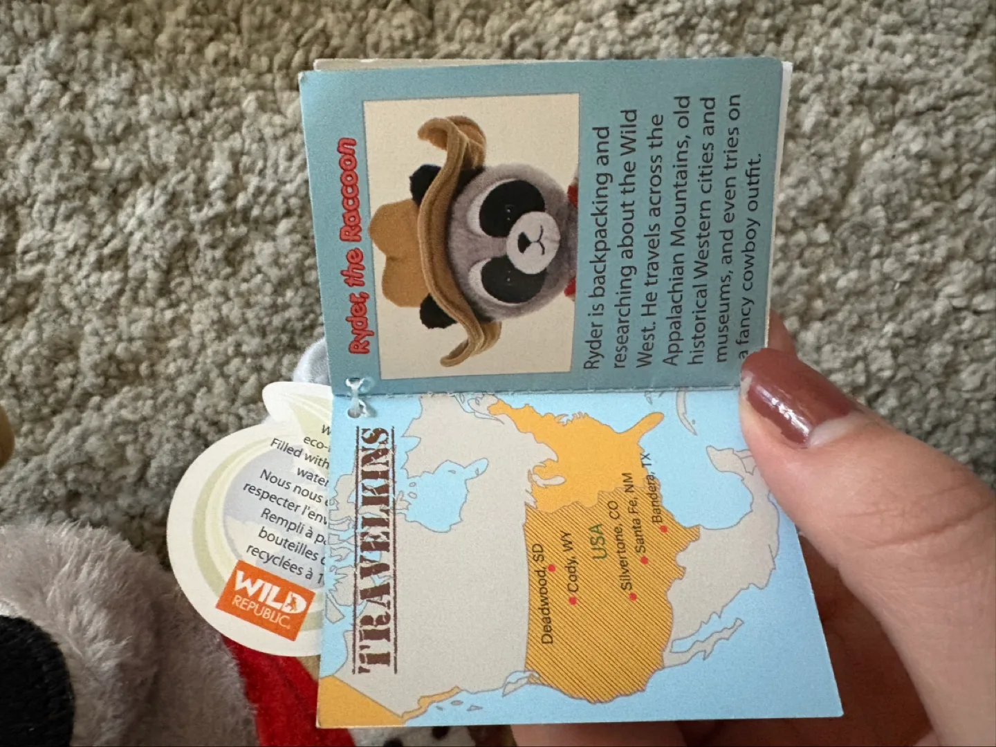 Wild Republic Ryder the Raccoon Travelkin Plush Toy💚 image indicator(3)