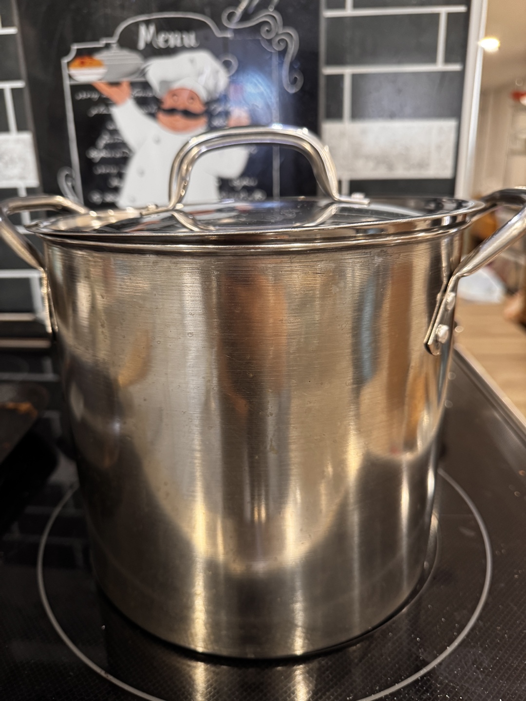 Stainless Steel Stock Pot with Lid