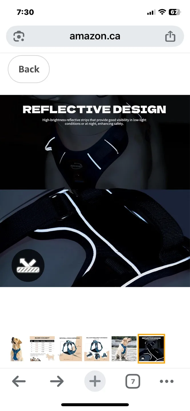 💚💚💚Beyfir Adjustable Pet Harness - Teal image indicator(5)