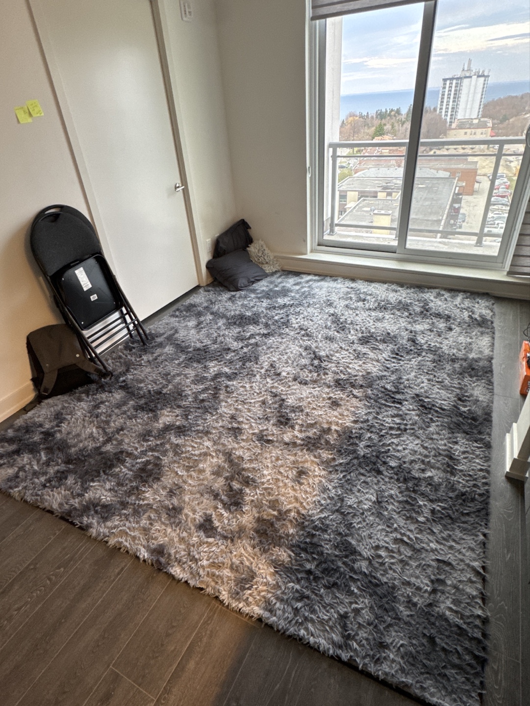 Grey and White Shag Rug