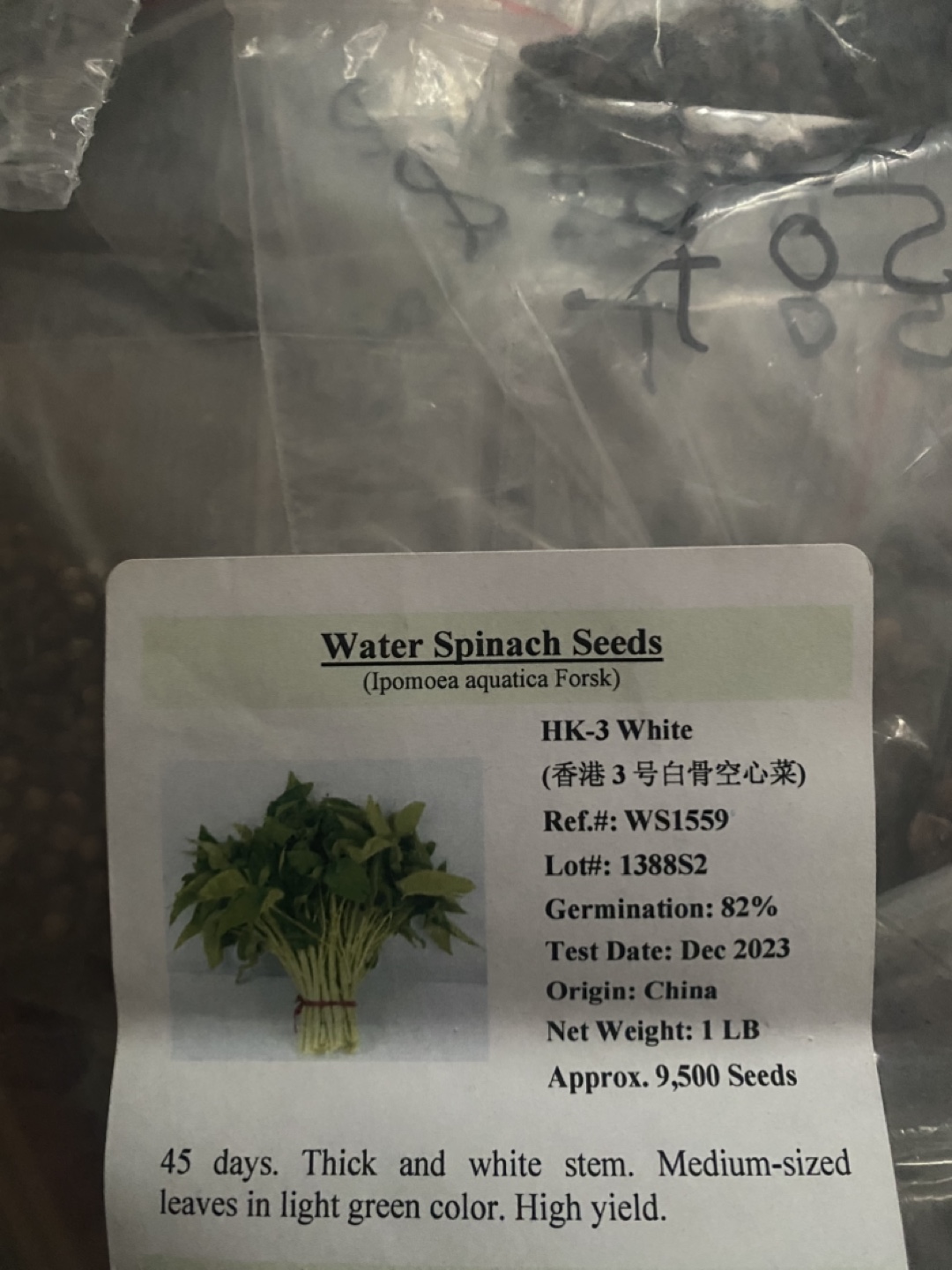 Water spinach seeds , Kang kong seeds - photo 2