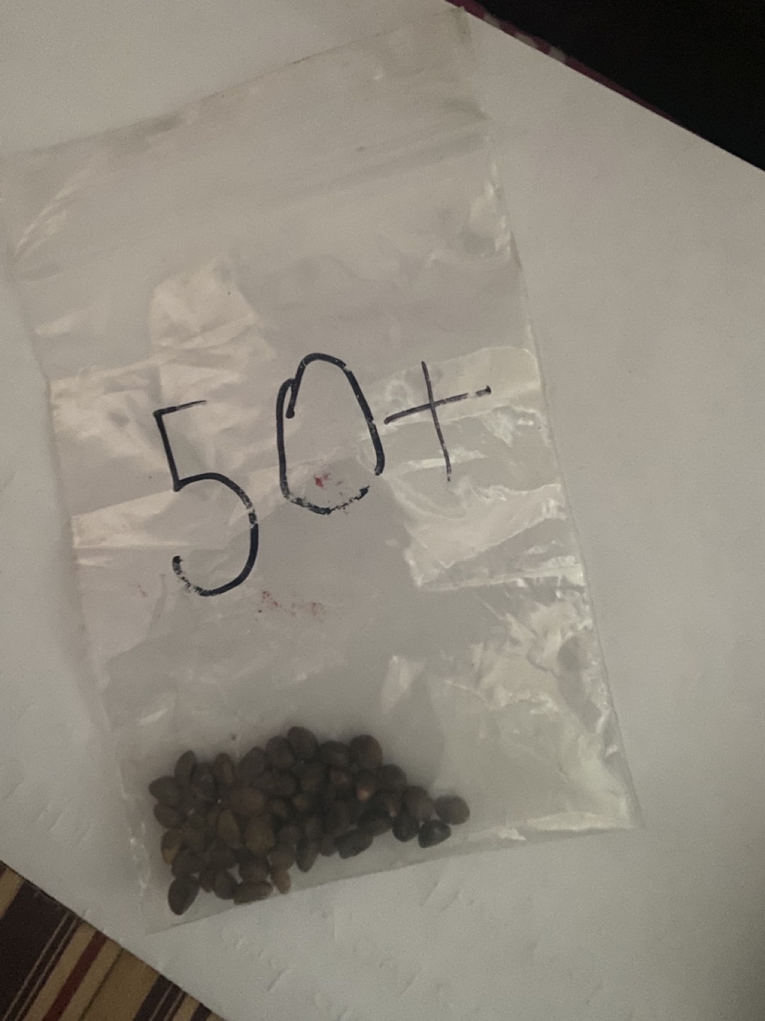 Water spinach seeds , Kang kong seeds - photo 3