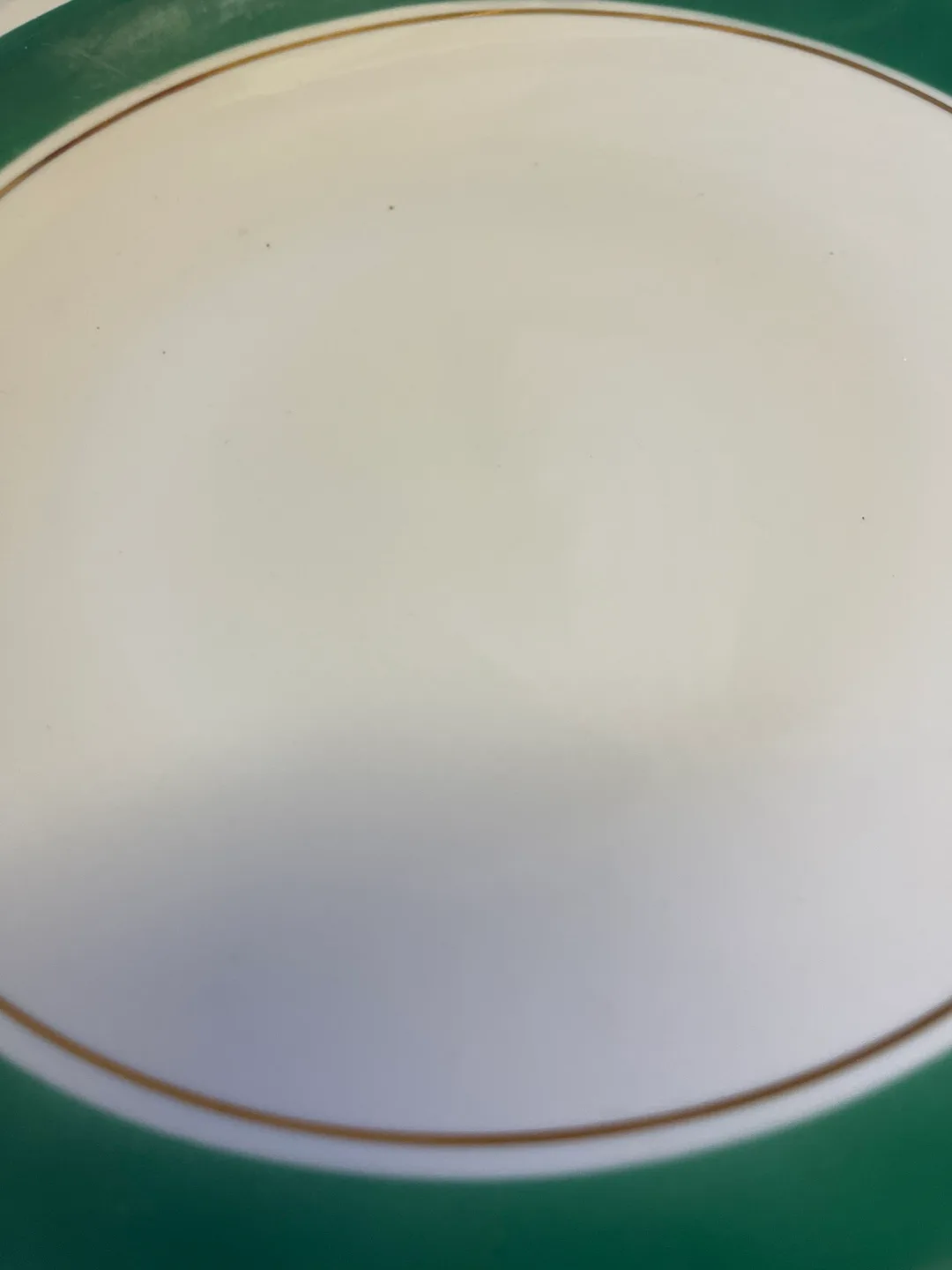 Vintage Green and Gold Trim Dinnerware Set image indicator(6)