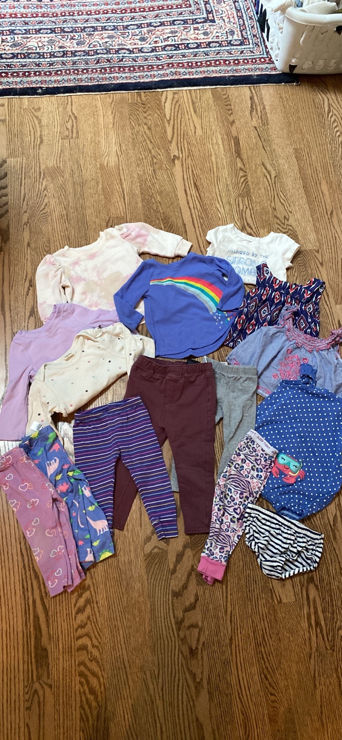 Baby Girl Clothes Bundle - Size 12 Months