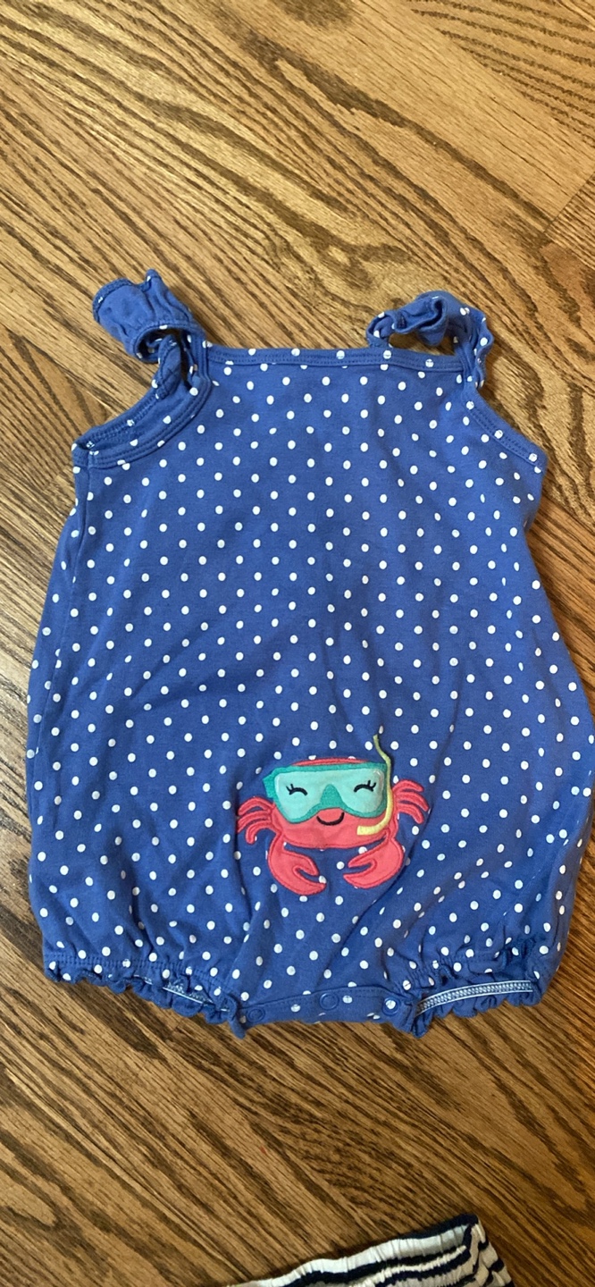 Baby Girl Clothes Bundle - Size 12 Months - photo 2
