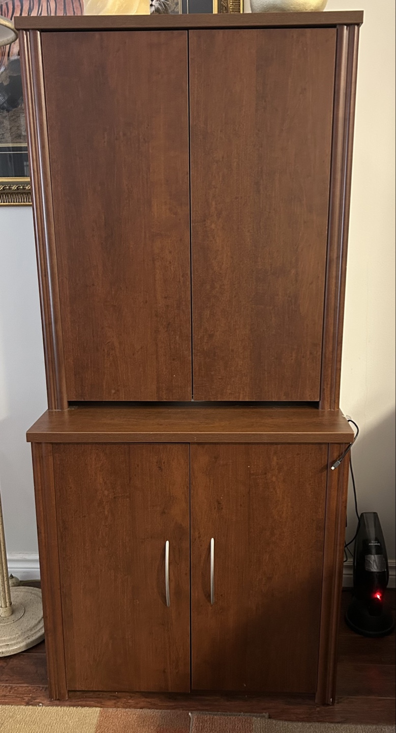 Dark Brown Wooden Double-Door Storage Cabinet
