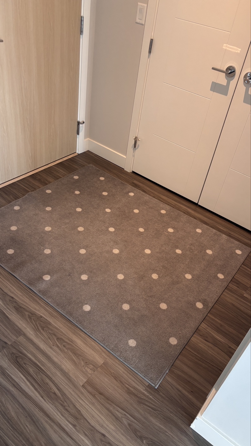 IKEA Len Rug - Move-out Sale ⚡
