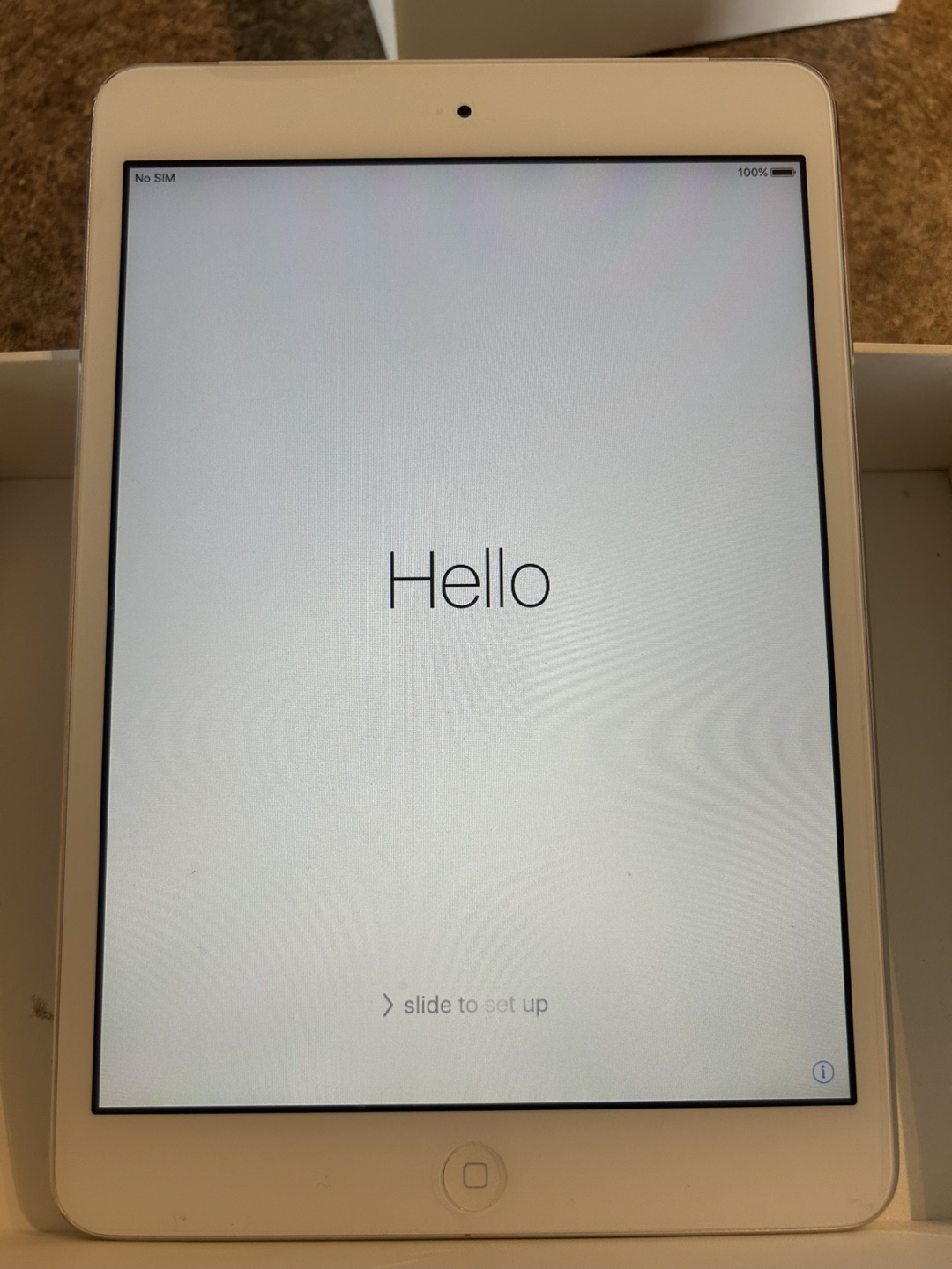 iPad Mini 1 - White