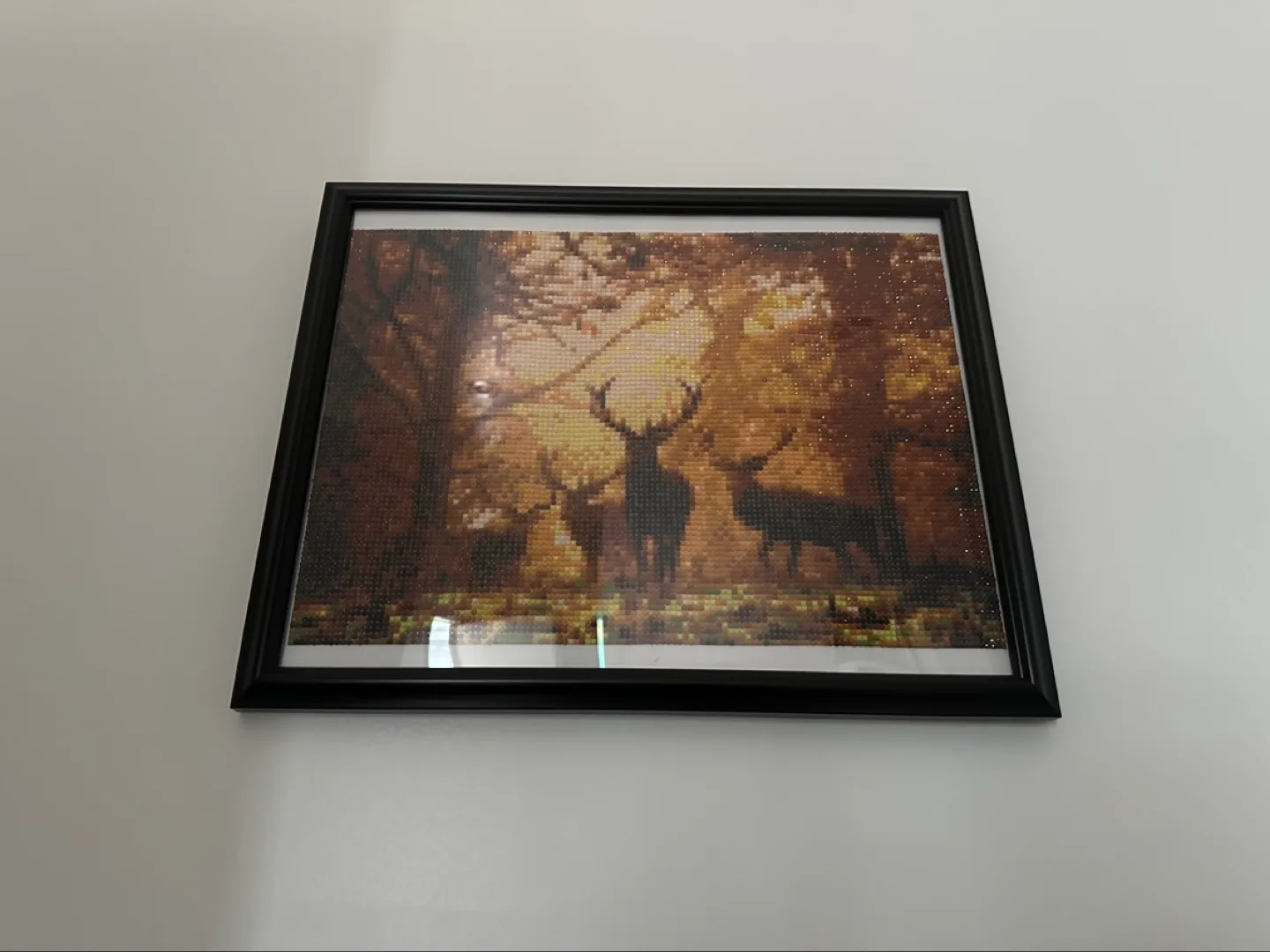 Five Framed Diamond Painting Kits image indicator(3)