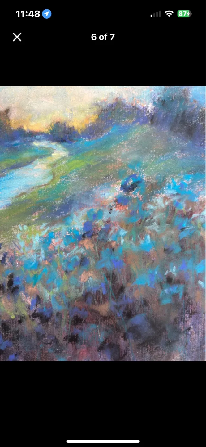 “Meadows at Dusk” Original Pastel Painting image indicator(5)