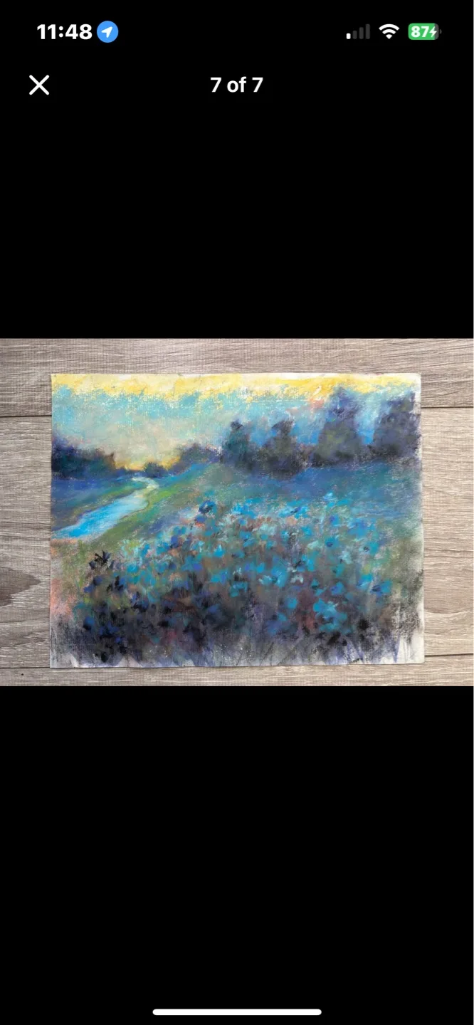 “Meadows at Dusk” Original Pastel Painting image indicator(6)