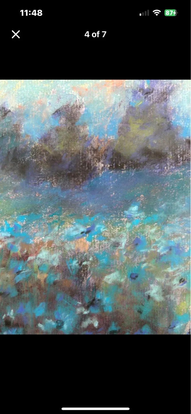 “Meadows at Dusk” Original Pastel Painting image indicator(3)