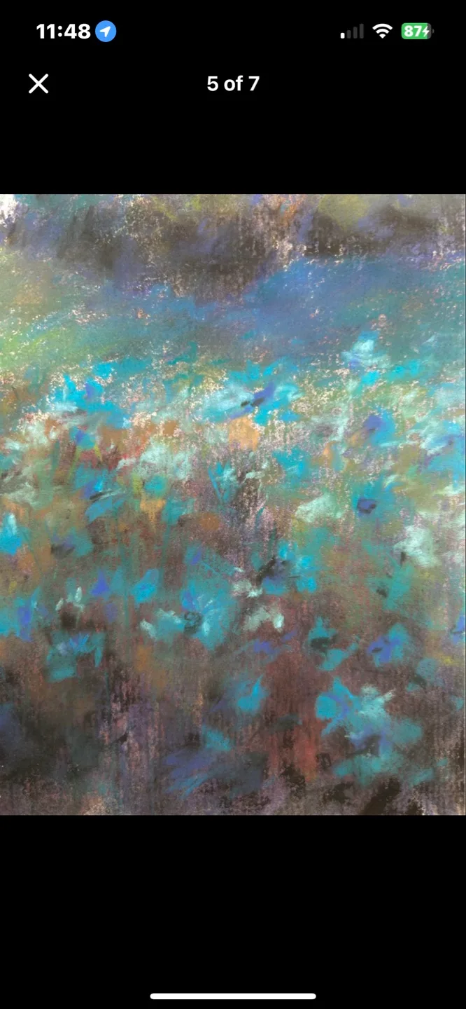 “Meadows at Dusk” Original Pastel Painting image indicator(4)
