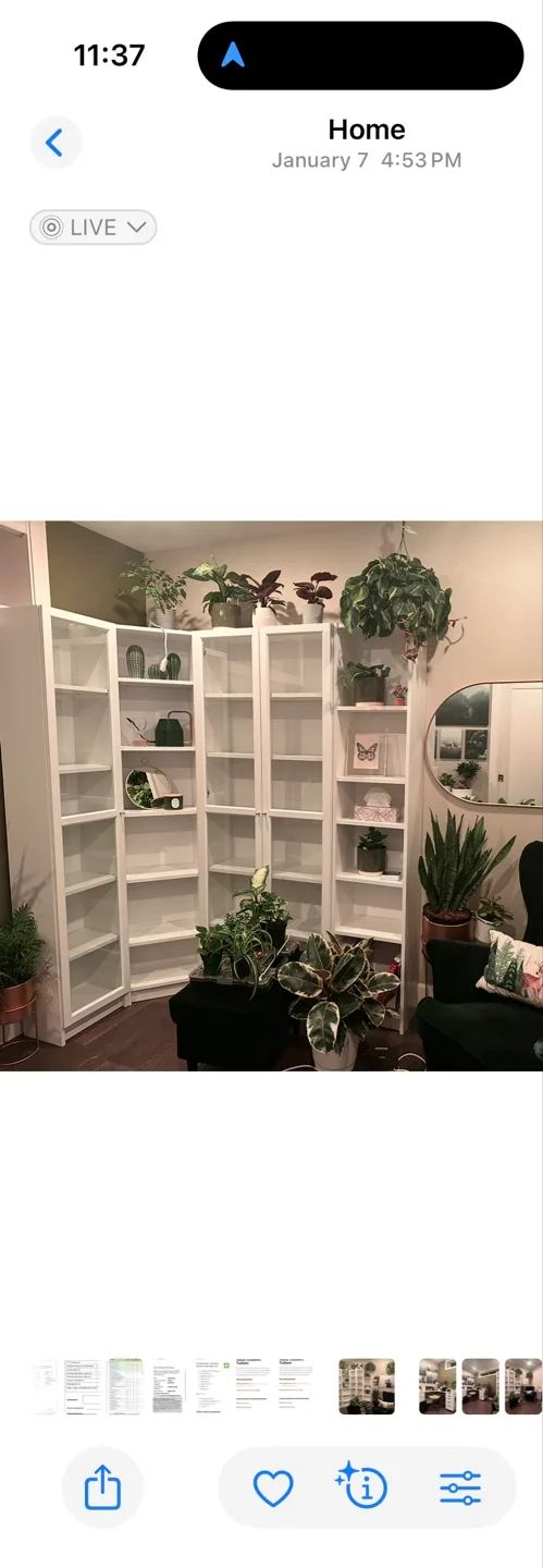 White Corner Bookcase with Glass Doors image indicator(4)