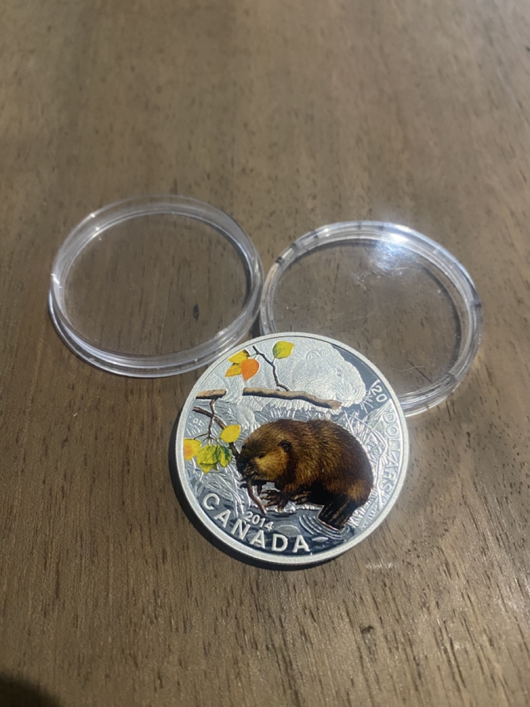 2014 Canadian $20 Silver Coin - Beaver