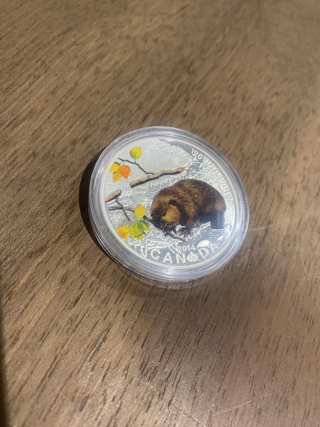 2014 Canadian $20 Silver Coin - Beaver - photo 4
