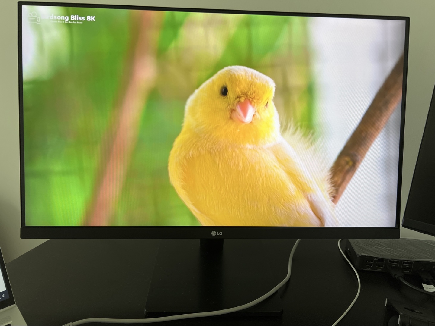 Monitor - 27inch - LG 27MP500-B - photo 2