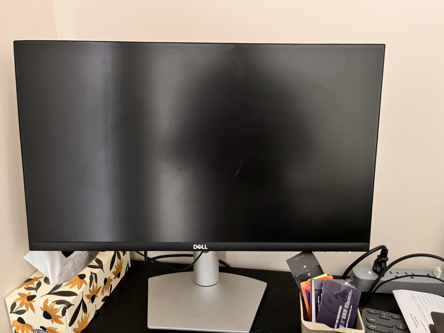 Dell 24 inch Monitor