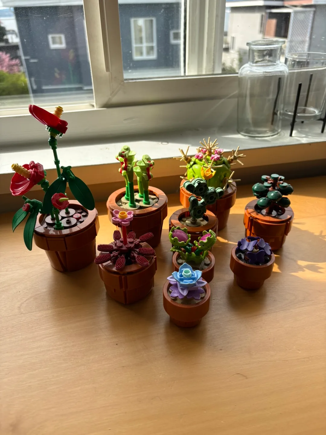 🌵lego botanicals tiny plants -full set built, box + instructions image indicator(5)