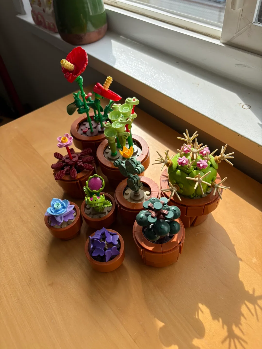 🌵lego botanicals tiny plants -full set built, box + instructions image indicator(3)