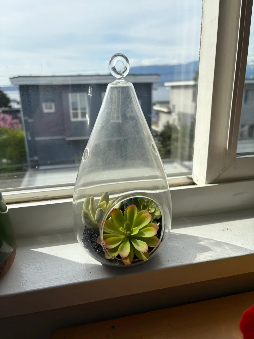 🌱 faux hanging succulent plant in teardrop glass vase / pot image indicator(2)