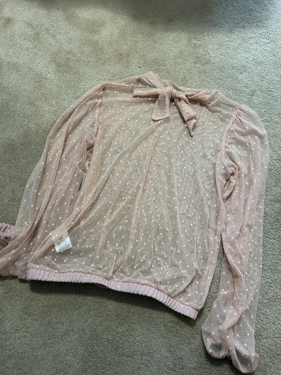 Pink Sheer Dotted Blouse image indicator(3)