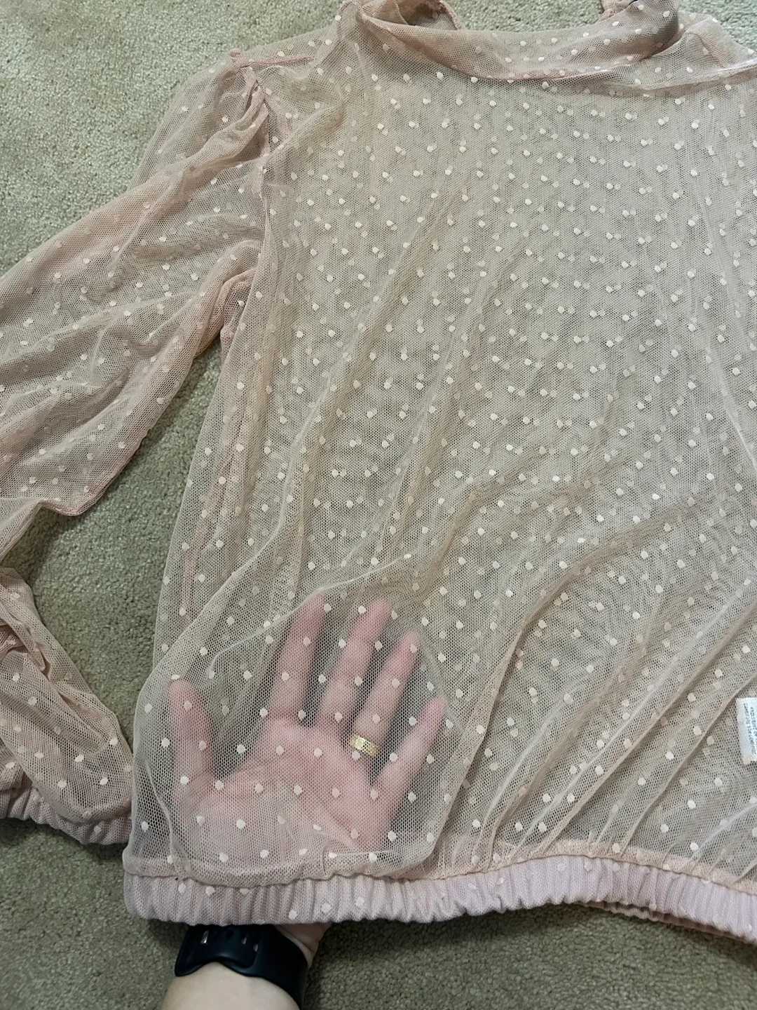 Pink Sheer Dotted Blouse image indicator(2)