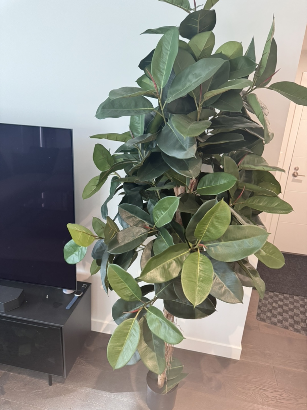 Large Artificial Rubber Plant - photo 2