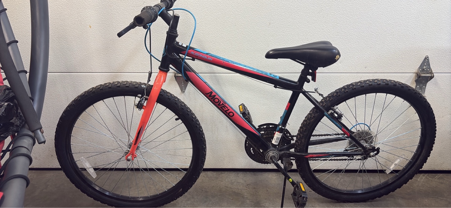 Moveo Algonquin 24" kids bike