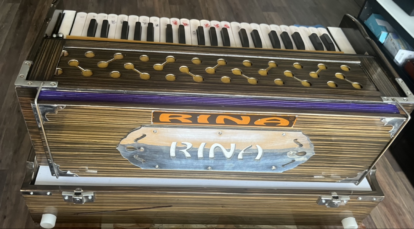 3 VERTICLE REED Rina Harmonium