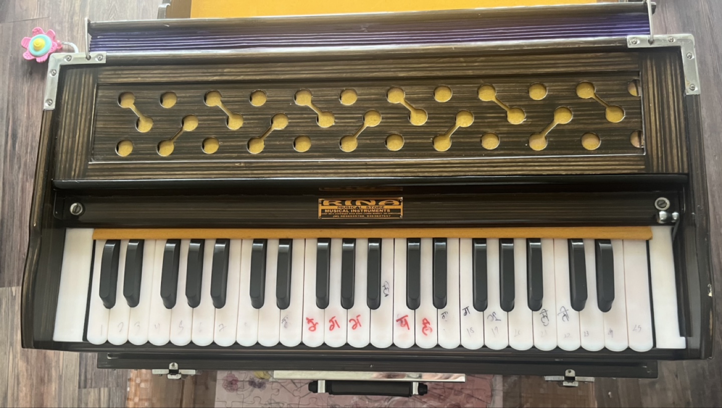 3 VERTICLE REED Rina Harmonium - photo 3