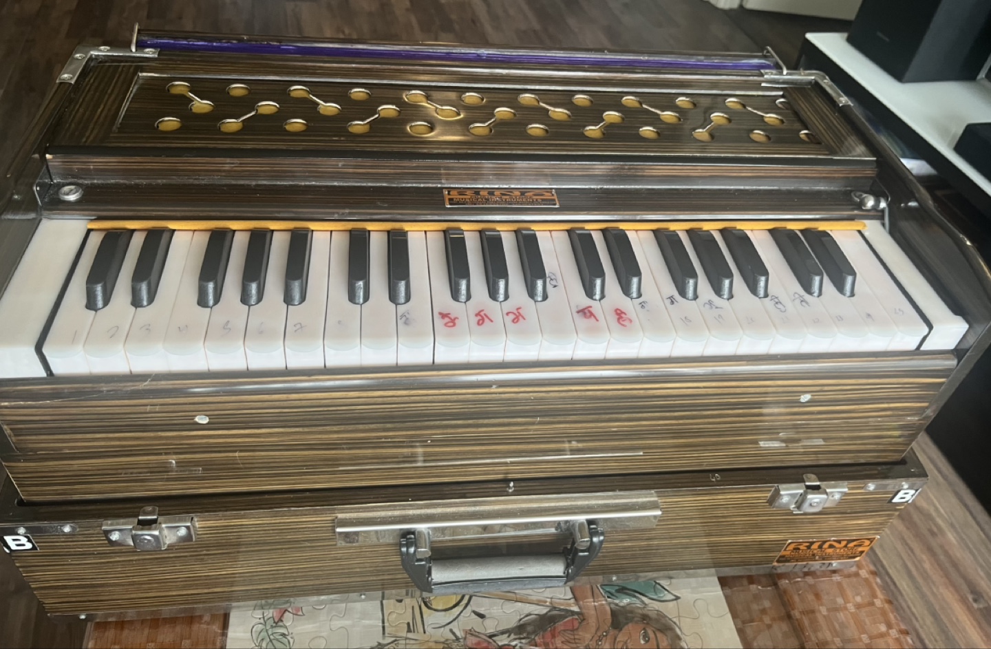 3 VERTICLE REED Rina Harmonium - photo 4
