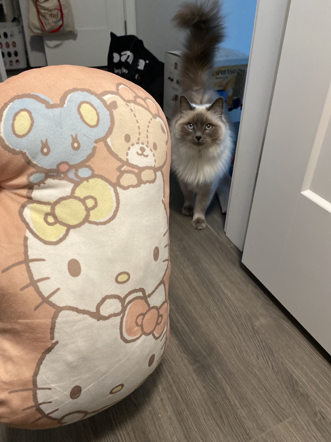 Sanrio Hello Kitty Cushion - photo 2