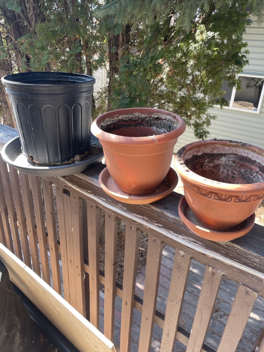 #freecycle Pots for summer plants