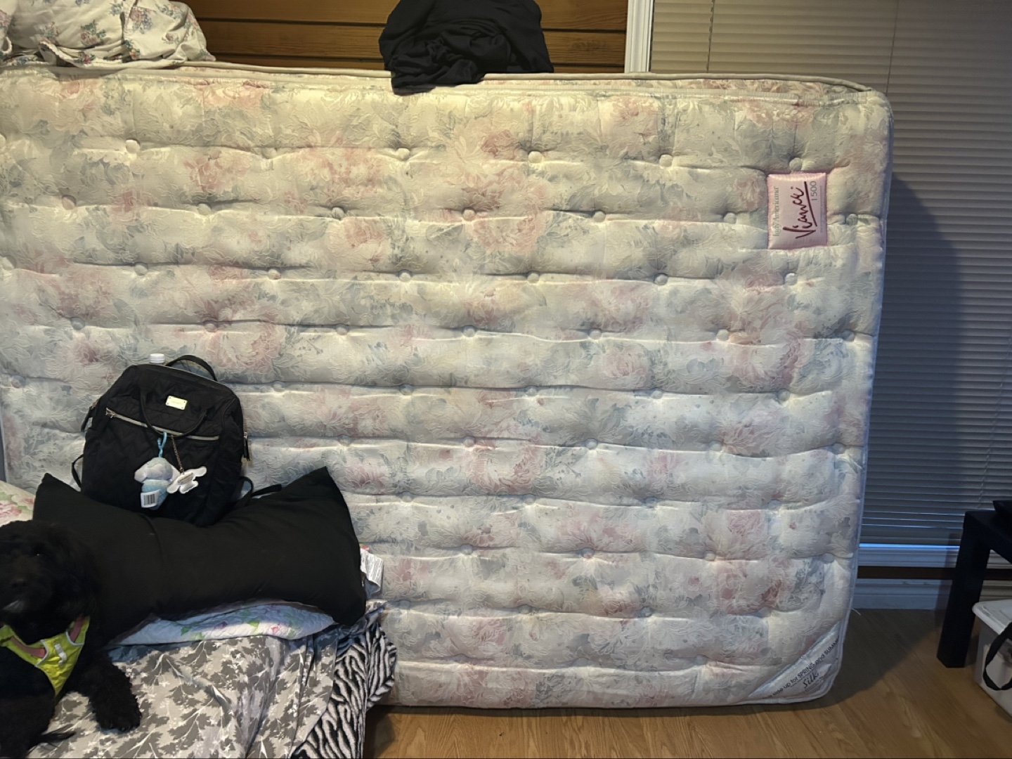 Queen  Mattress