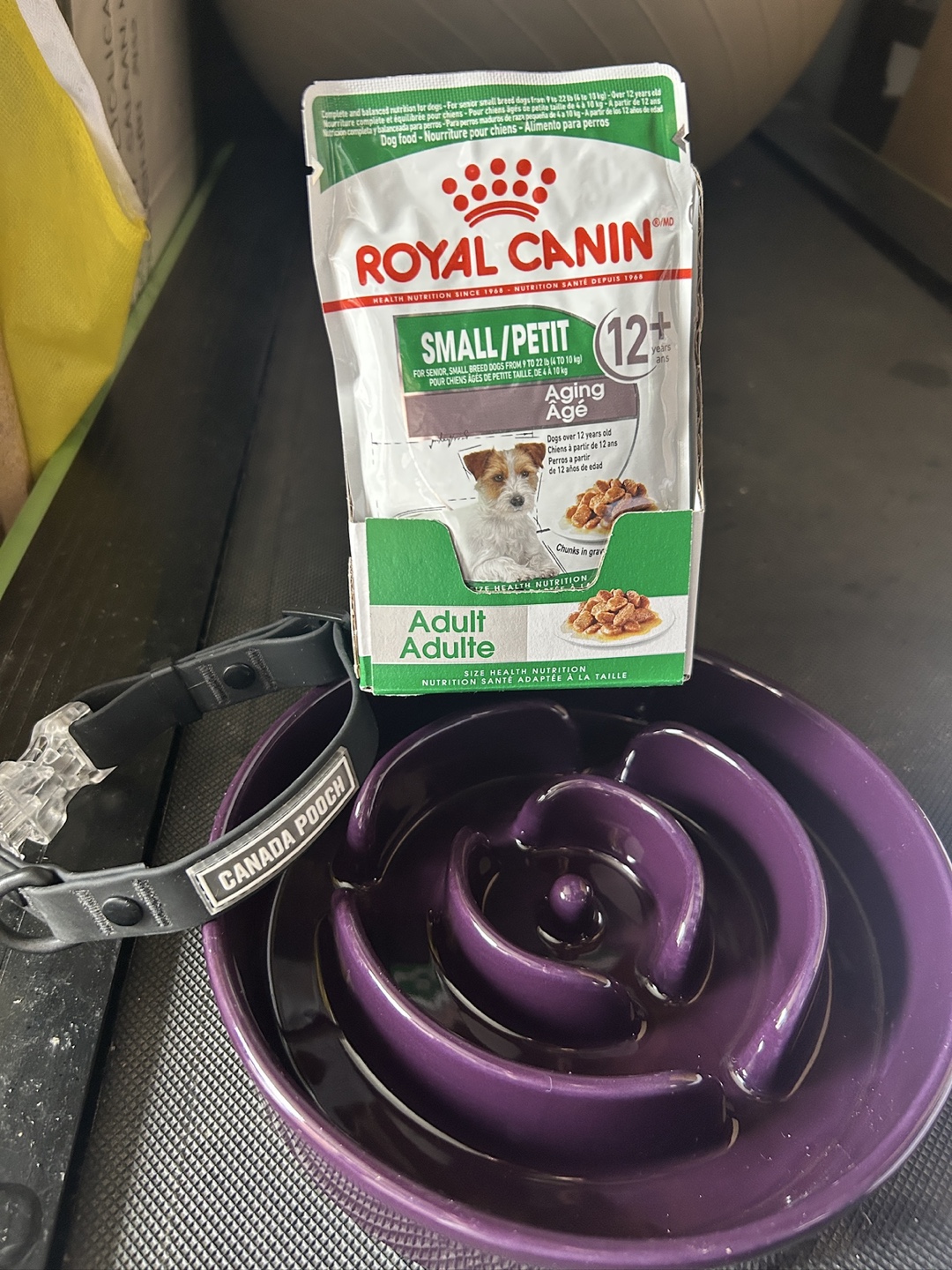 Dog Food x13, + Dog accessories!