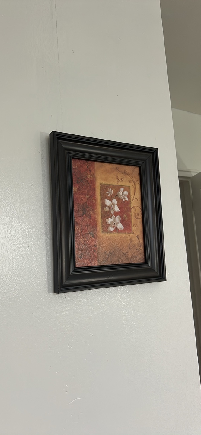 Framed Floral Wall Art