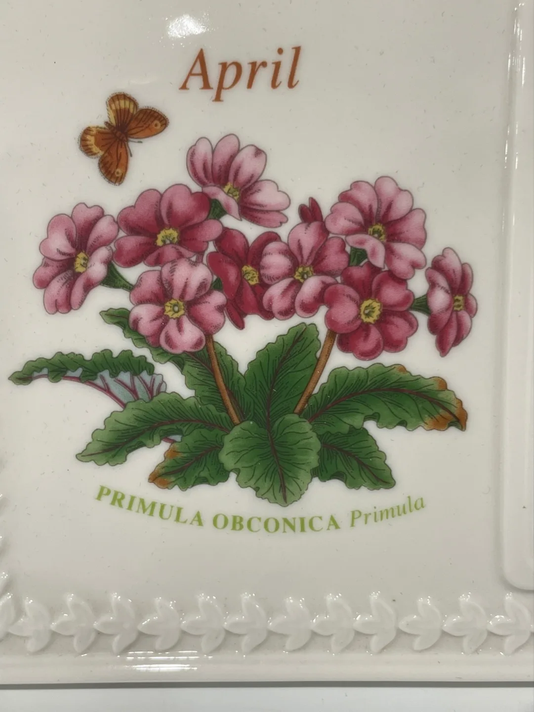 Portmeirion Botanic Garden April Photo Frame image indicator(3)