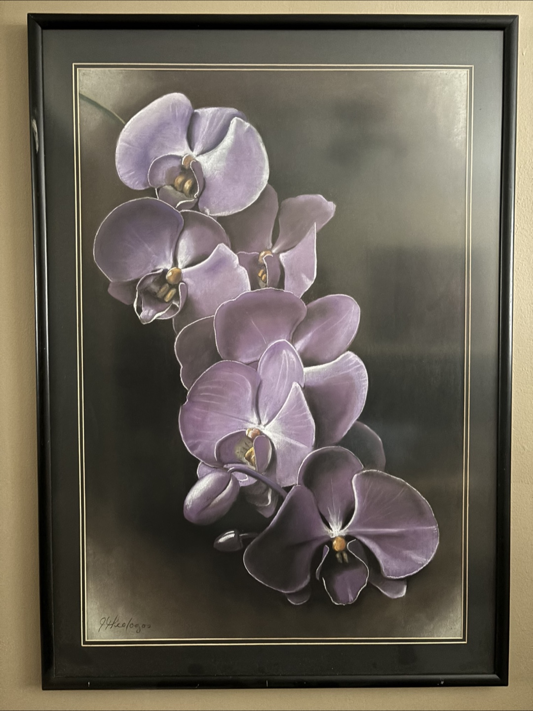 Framed Pastel Flower Prints by Jim Theoluogos