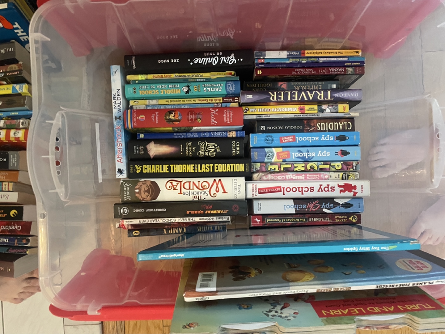 Large Collection of Children's Chapter Books - photo 2