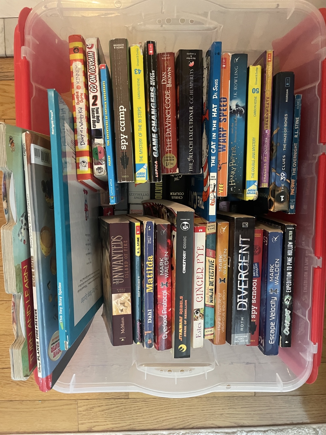 Large Collection of Children's Chapter Books