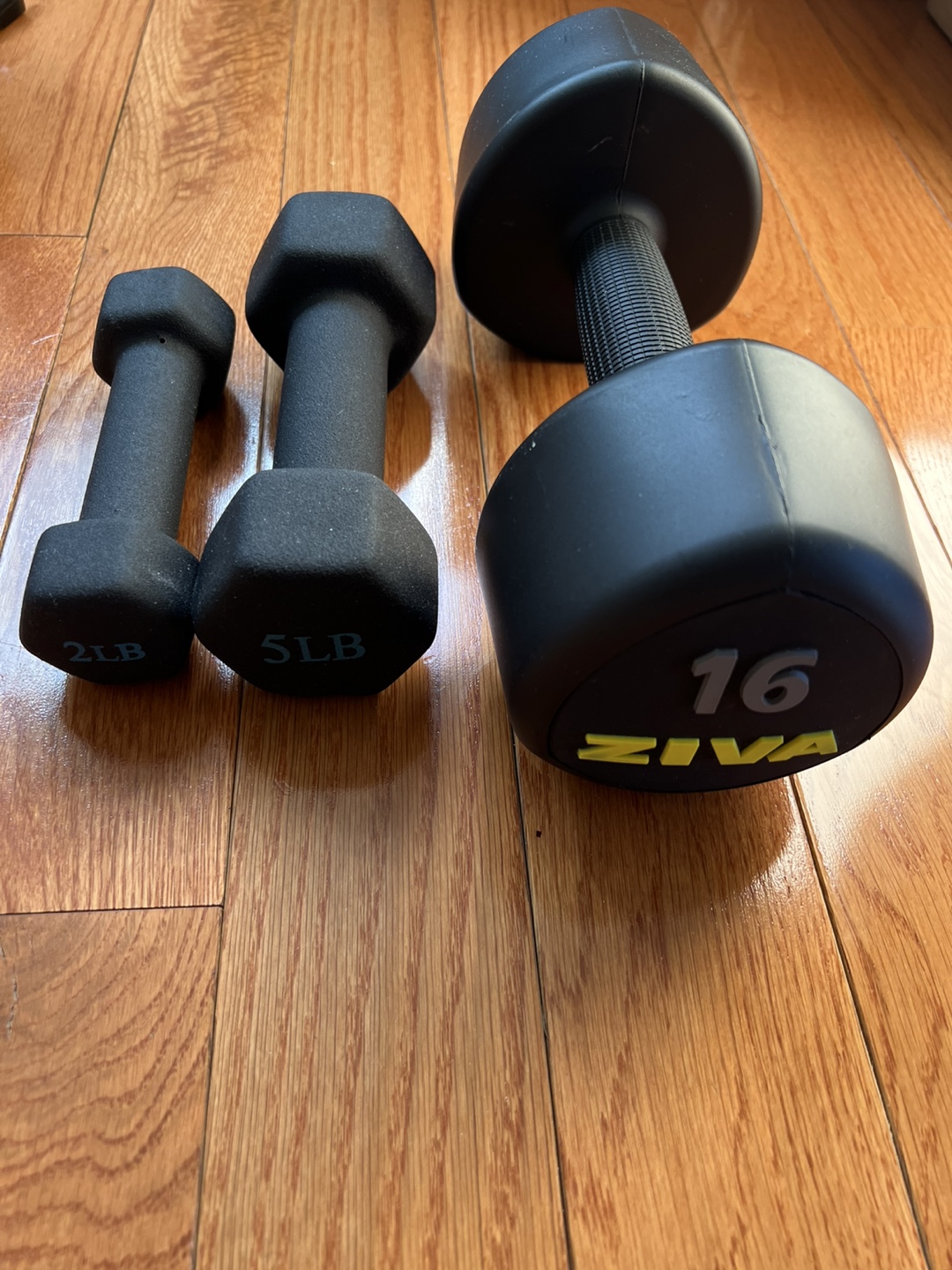 Ziva Dumbbells - 2lb, 5lb, & 16lb